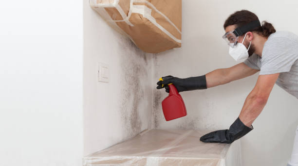 Professional Mold Remediation technician working in Branchville, VA