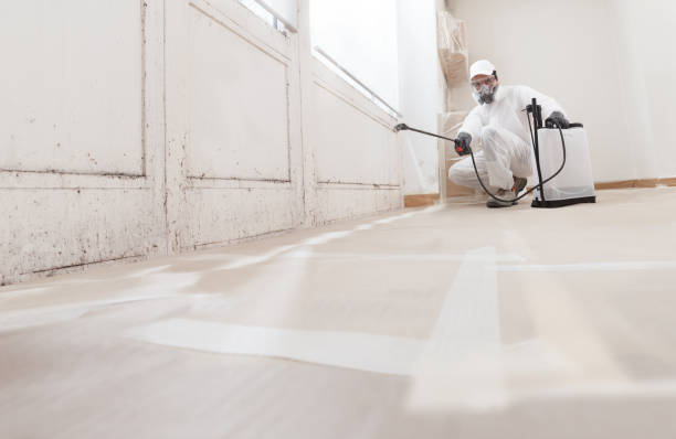 24/7 Emergency Mold Remediation experts in Branchville, VA